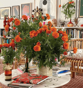 A living room filled with orange flowers and books.